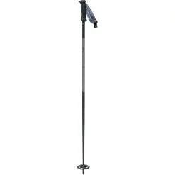 Swix Plus Line Ski Pole
