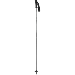 Swix Excalibur Ski Pole